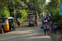 /album/kerala-trivandrum-alappuzha-kumaly-fort-kuchin-bangalore/img-5716-jpg/