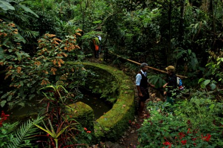 Kumily - Spice Garden